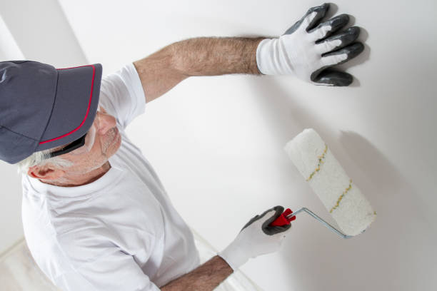 Best Mold Removal for HVAC Installations  in Union City, GA