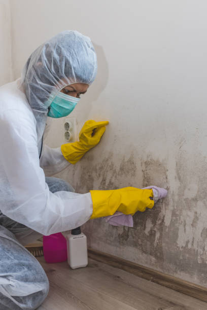 Best HVAC Mold Inspection and Cleaning  in Union City, GA