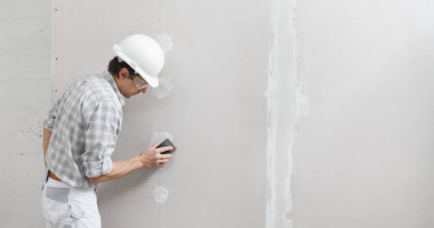 Best Basement Mold Removal  in Union City, GA