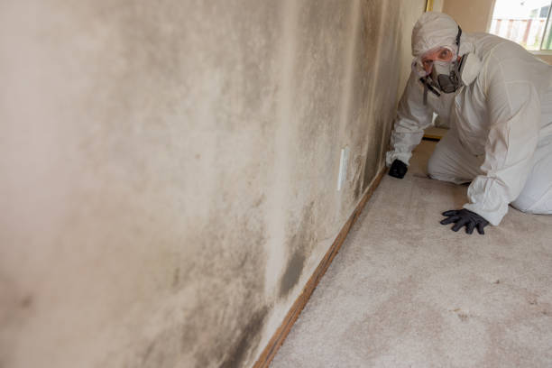 Best Post-Remediation Verification Testing  in Union City, GA