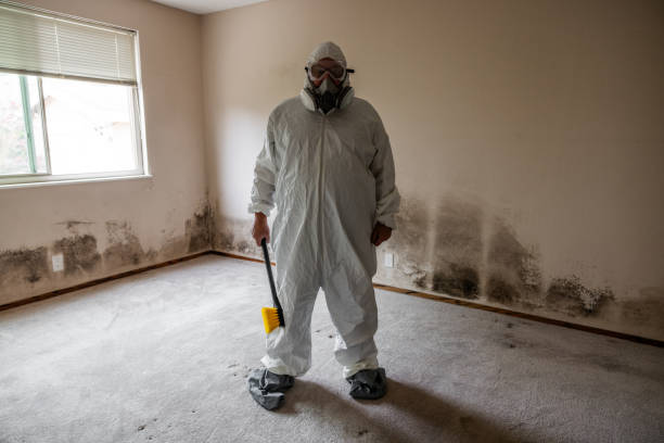 Trusted Union City, GA Mold Removal Experts