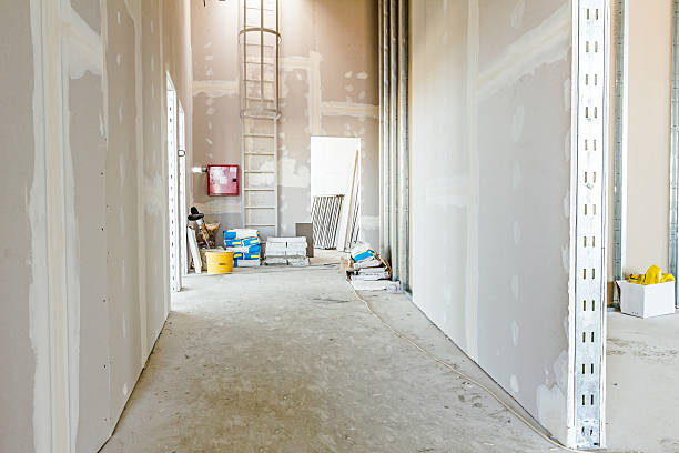 Best Biohazard Mold Removal  in Union City, GA
