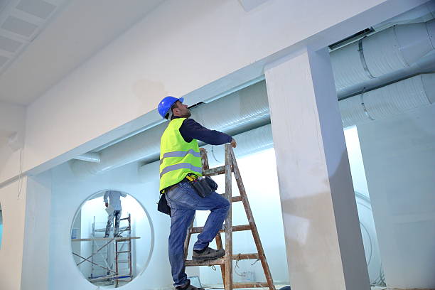 Best Attic Mold Removal  in Union City, GA
